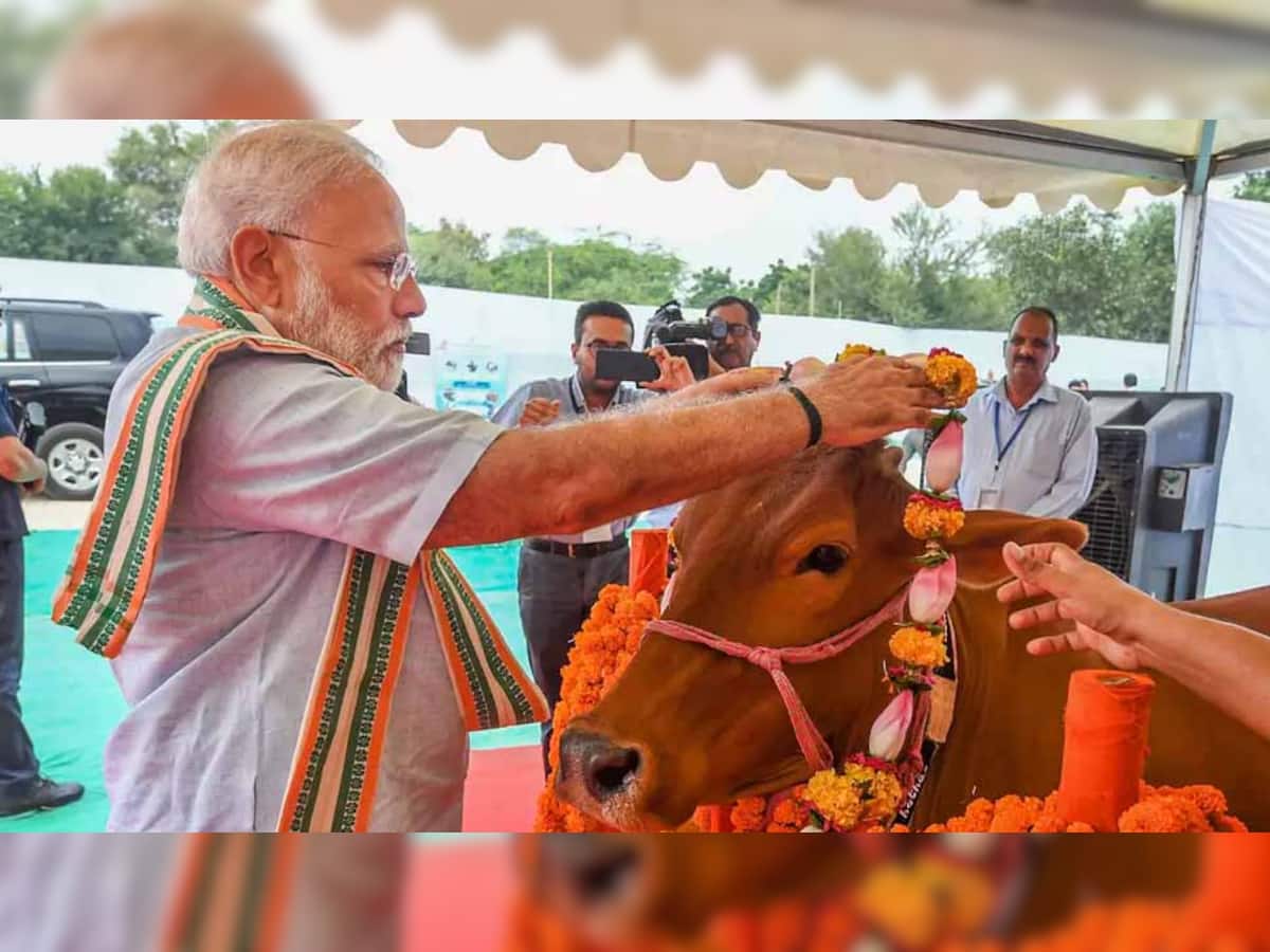  અંબાજીમાં આવતીકાલે PM મોદી ‘મુખ્યમંત્રી ગૌ માતા પોષણ યોજના’નું કરશે લોન્ચિંગ