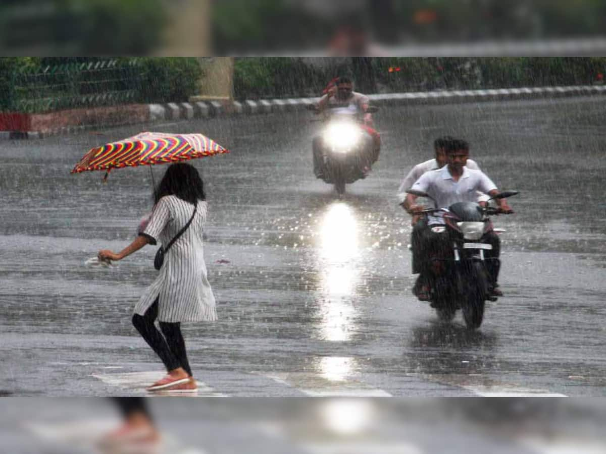 Gujarat Rain: ગુજરાતમાં ફરી વરસાદી મોહાલ, આ જિલ્લામાં પડ્યો ધોધમાર વરસાદ