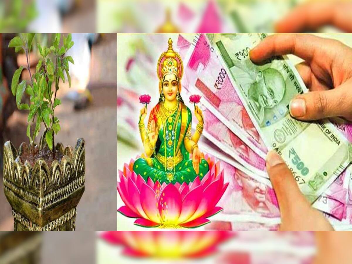 Laxmi Puja 2022: લક્ષ્મીજીની કૃપા માટે તુલસીજીની કરો સેવા, ભગવાન વિષ્ણુના પણ રહેશે આર્શિવાદ