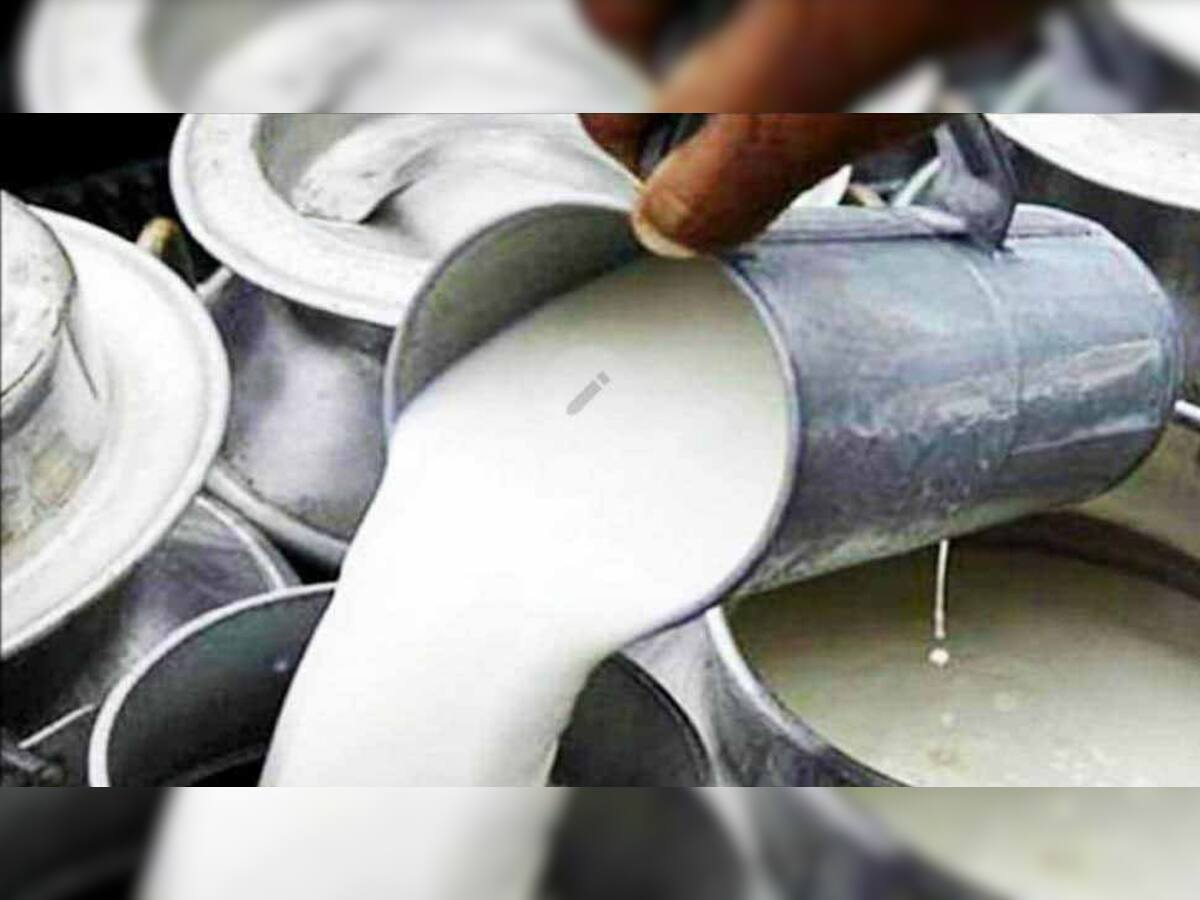 ગુજરાતના લાખો પશુપાલકોની દિવાળી સુધરી, આ ડેરીએ દૂધની ખરીદીમાં કર્યો ભાવ વધારો