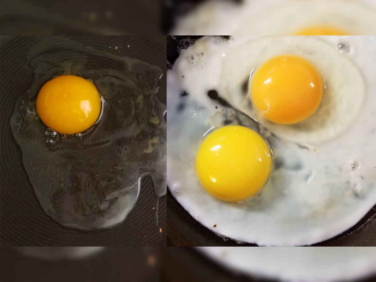 Egg Testing: ઇંડાના નામે તમે પણ પ્લાસ્ટિક અને કેમિકલ તો નથી ખાતા ને! અસલી ઇંડાને આ રીતે ઓળખો