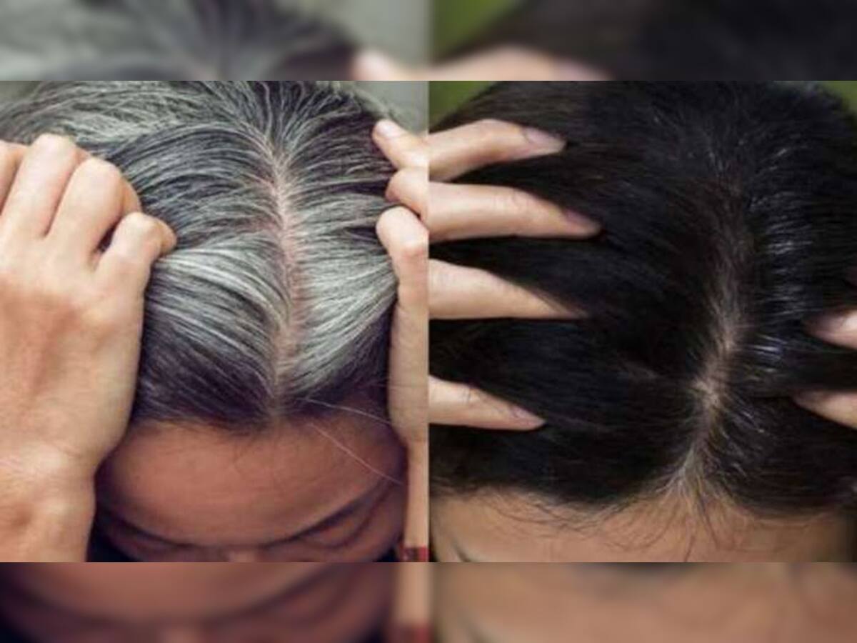 Hair Care Tips : આ માસ્ક તમારા સફેદ વાળને કાળા બનાવશે, હેર કલરનો ખર્ચો પણ બચશે