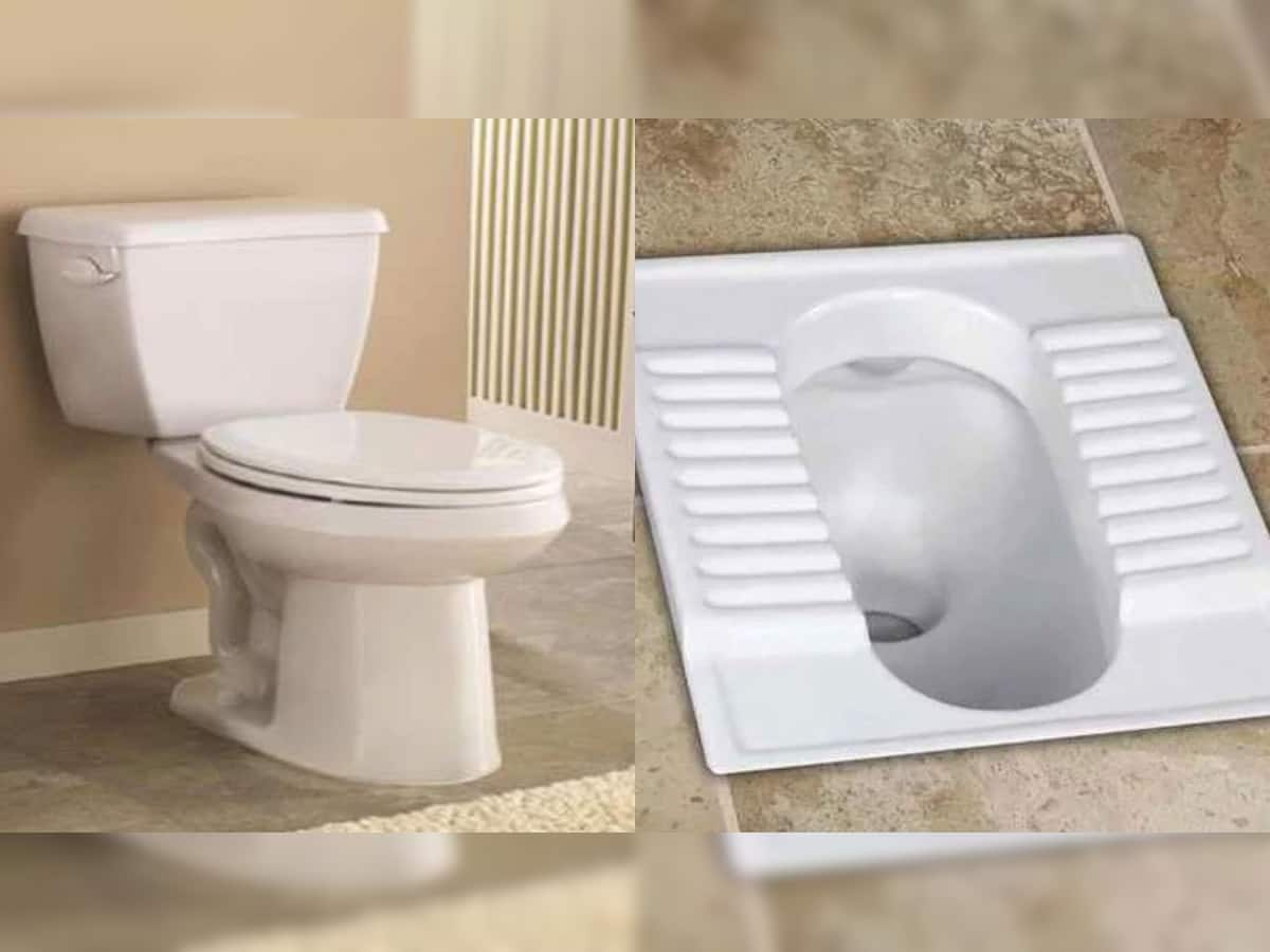 World Toilet Day 2022: Indian કે Western કયું Toilet છે સારુ? એક્સપર્ટે આપ્યો જવાબ