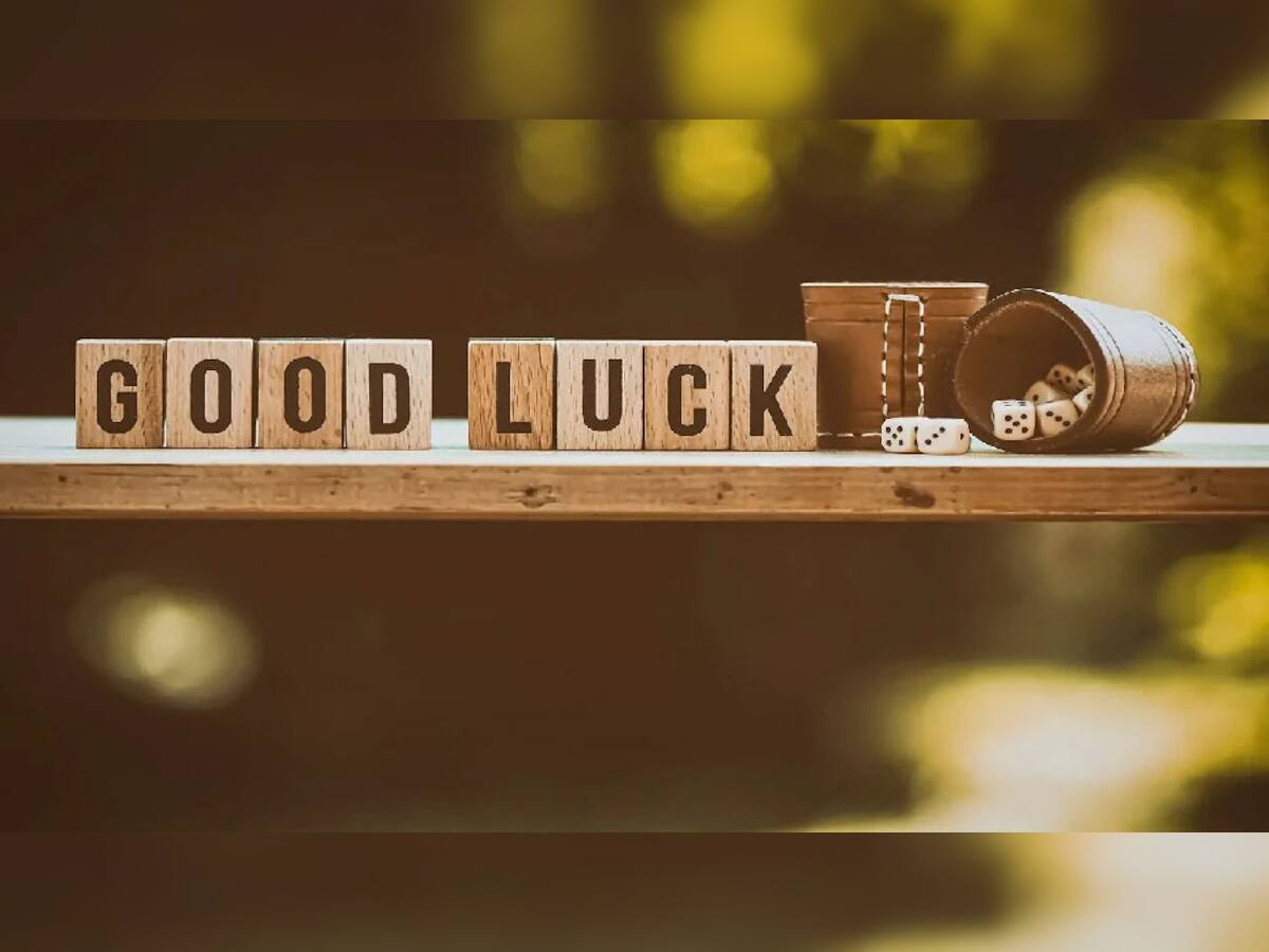 Good Luck Signs: ઘરની બાલ્કની-આંગણામાં દેખાય આ પક્ષી તો ખુલી જાય છે નસીબ, શરૂ થાય છે સોનેરી દિવસો