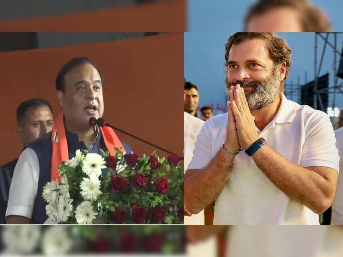 Gujarat Elections 2022: 'આજકાલ રાહુલ ગાંધીનો ચહેરો સદ્દામ હુસૈન જેવો દેખાય છે', આસામના CM હિમંતા બિસ્વા સરમાનું મોટું નિવેદન
