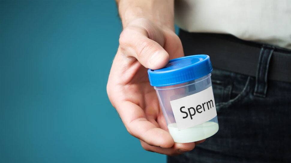 Sperm count increases by eating clove sexual problems will go away
