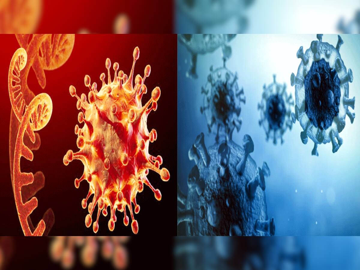 Zombie Virus: દુનિયામાં ફરી આવી શકે છે નવી મહામારી! ચીન બાદ હવે રશિયાએ રોશન વાળ્યું
