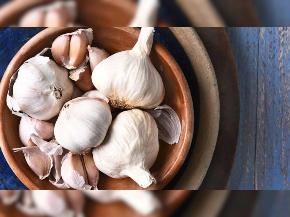 Garlic Benefits: શિયાળામાં રામબાણ ઇલાજ છે કાચુ લસણ, આ બીમારીઓથી બચાવશે