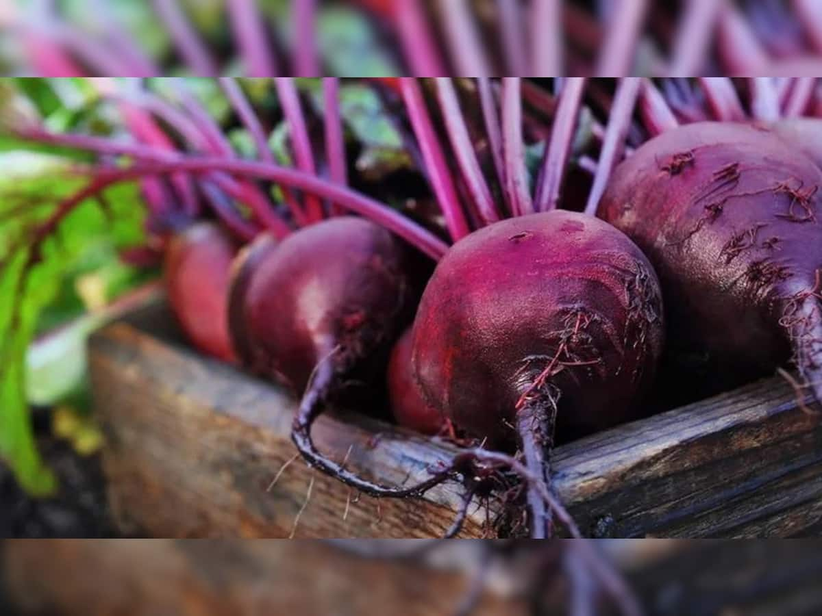 Beetroot: દરરોજ સવારે ખાલી પેટે કરો બીટનું સેવન, શરીરને મળશે જોરદાર ફાયદા