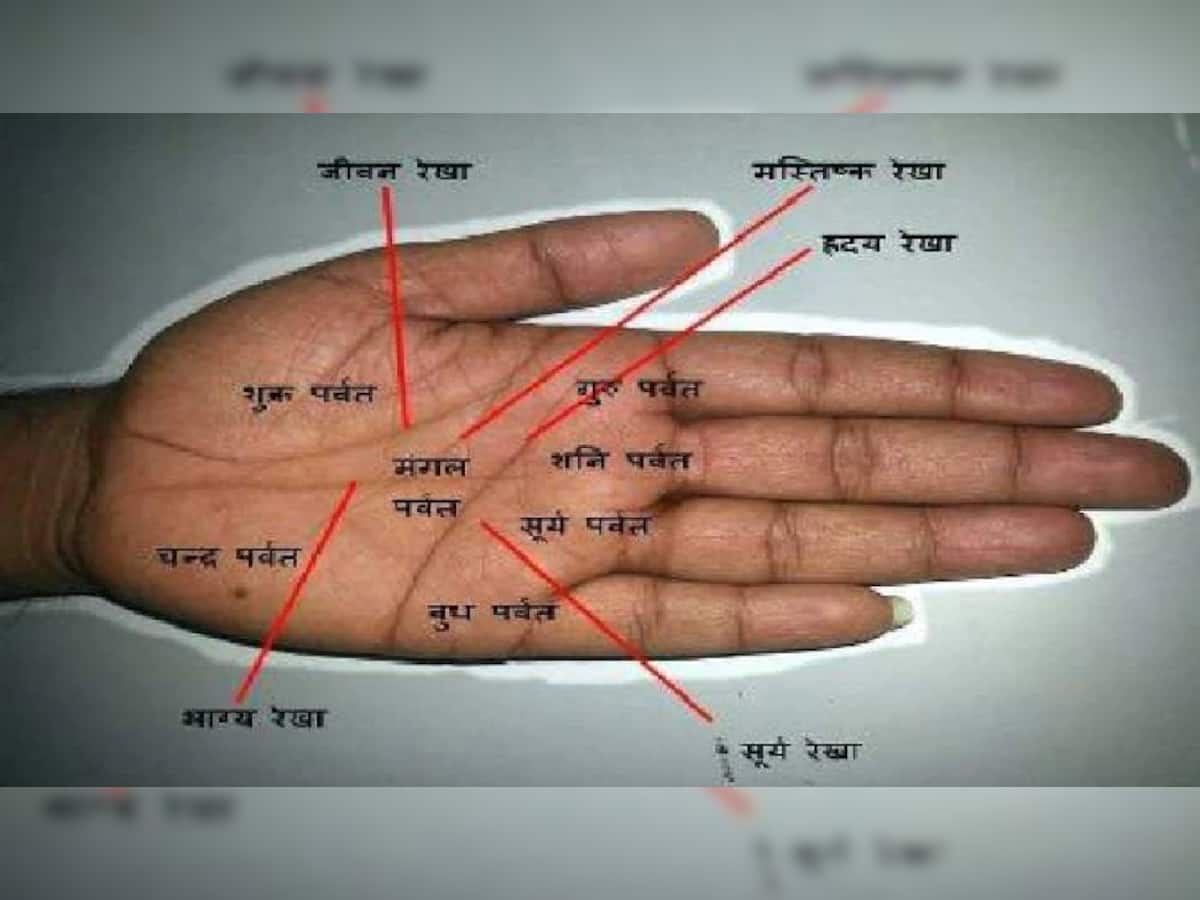 Palmistry: હાથમાં આવી રેખા હોય તો જીવનમાં એકવાર જરૂર અમીર બને છે જાતક! લાગી જાય છે લોટરી