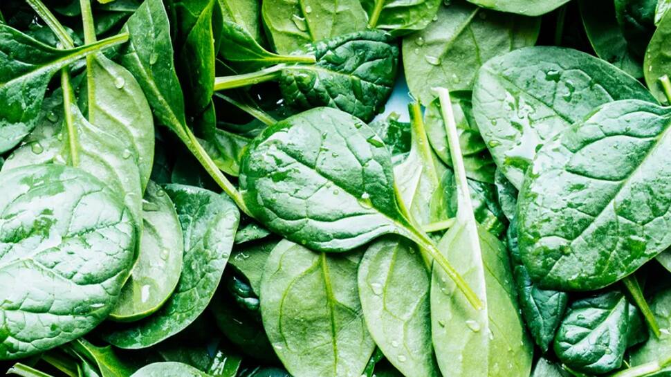 Spinach Benefits 5 Health Benefits Of Adding Spinach in Your Dish