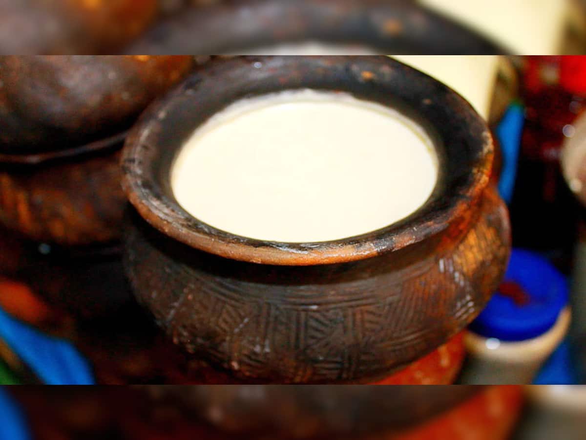 Curd In Clay Pot: માટીના વાસણમાં દહીં જમાવવાથી થાય છે અઢળક ફાયદા, ખાસ જાણો 