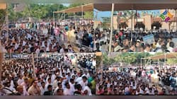 પાલિતાણામાં જૈન મંદિરનો વિવાદ વધુ વકર્યો, એક સાથે હજારો લોકોએ રેલી કાઢી, કર્યો વિરોધ