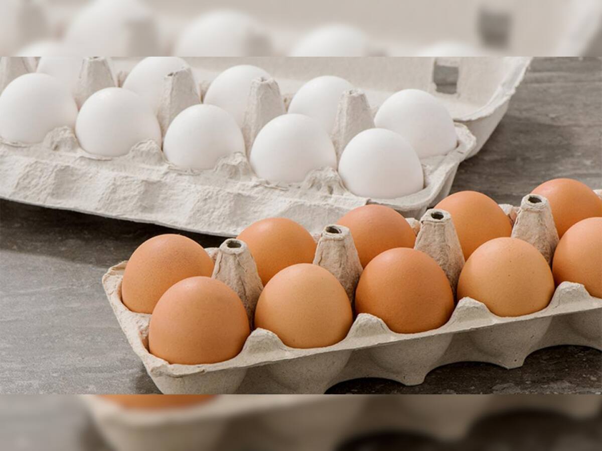 Egg Testing:ઇંડા ખાનારા સાવધાન, માર્કેટમાં મળી રહ્યા છે રબરના ઇંડા, અસલી ઇંડાને આ રીતે ઓળખો