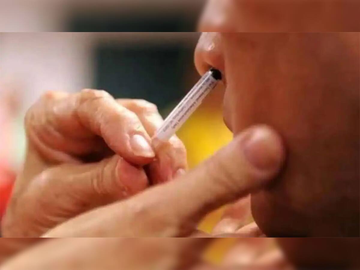 Nasal Vaccine કોરોનાની નેઝલ વેક્સીનને કેન્દ્ર સરકારે આપી મંજૂરી, જાણો ક્યાંથી મેળવી શકાશે