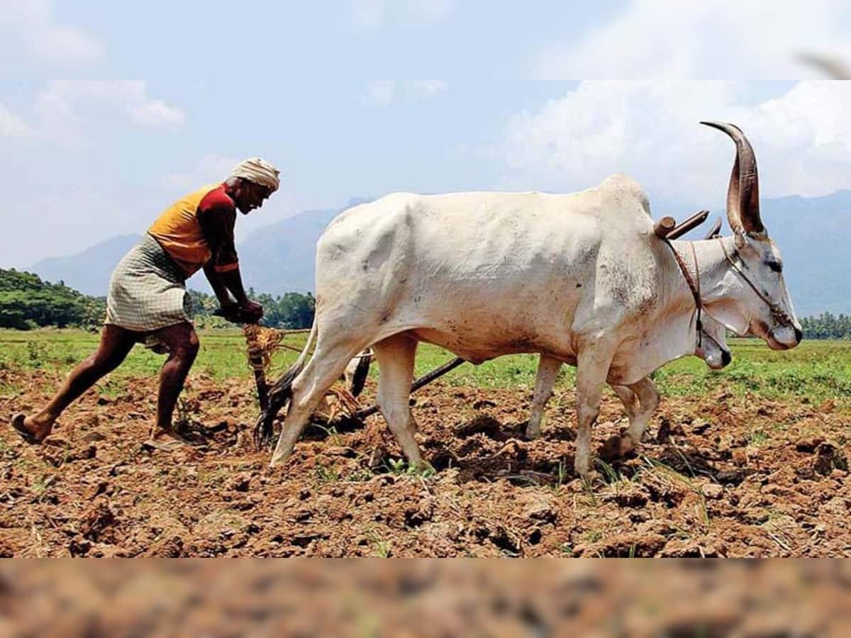 સૌરાષ્ટ્રના ખેડૂતોના હિતમાં CMનો મહત્વપૂર્ણ નિર્ણય, નર્મદા યોજના થકી સૌરાષ્ટ્રના જળાશયો ભરાશે