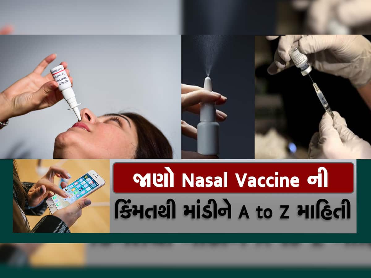 Nasal Vaccine Price:  ભારત બાયોટેકની નેજલ વેક્સિનની કિંમતો થઈ ફાઈનલ, જાણી લો કેટલા રૂપિયામાં અને ક્યારે મળશે?