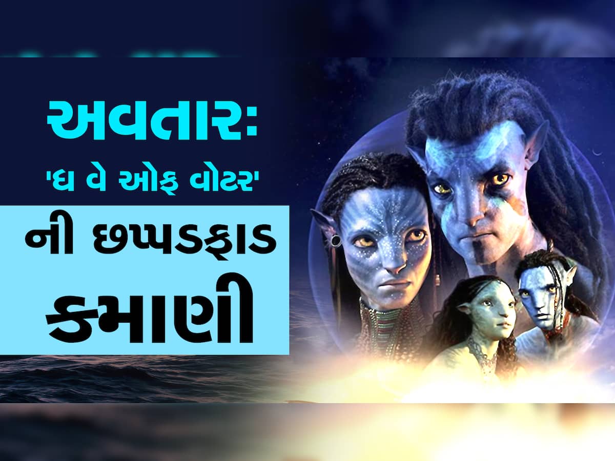 Avatar 2 Box Office Collection: અવતાર-2ની કમાણીની આંધીમાં બોલિવૂડની ફિલ્મો ફસકી, કમાણીના આંક સાંભળીને હોશ ઉડી જશે