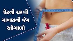 Cholesterol: આ 4 ચીજવસ્તુઓ ખાવાથી શરીરમાં વધી જશે કોલેસ્ટ્રોલ, સાચવજો નહીં તો...