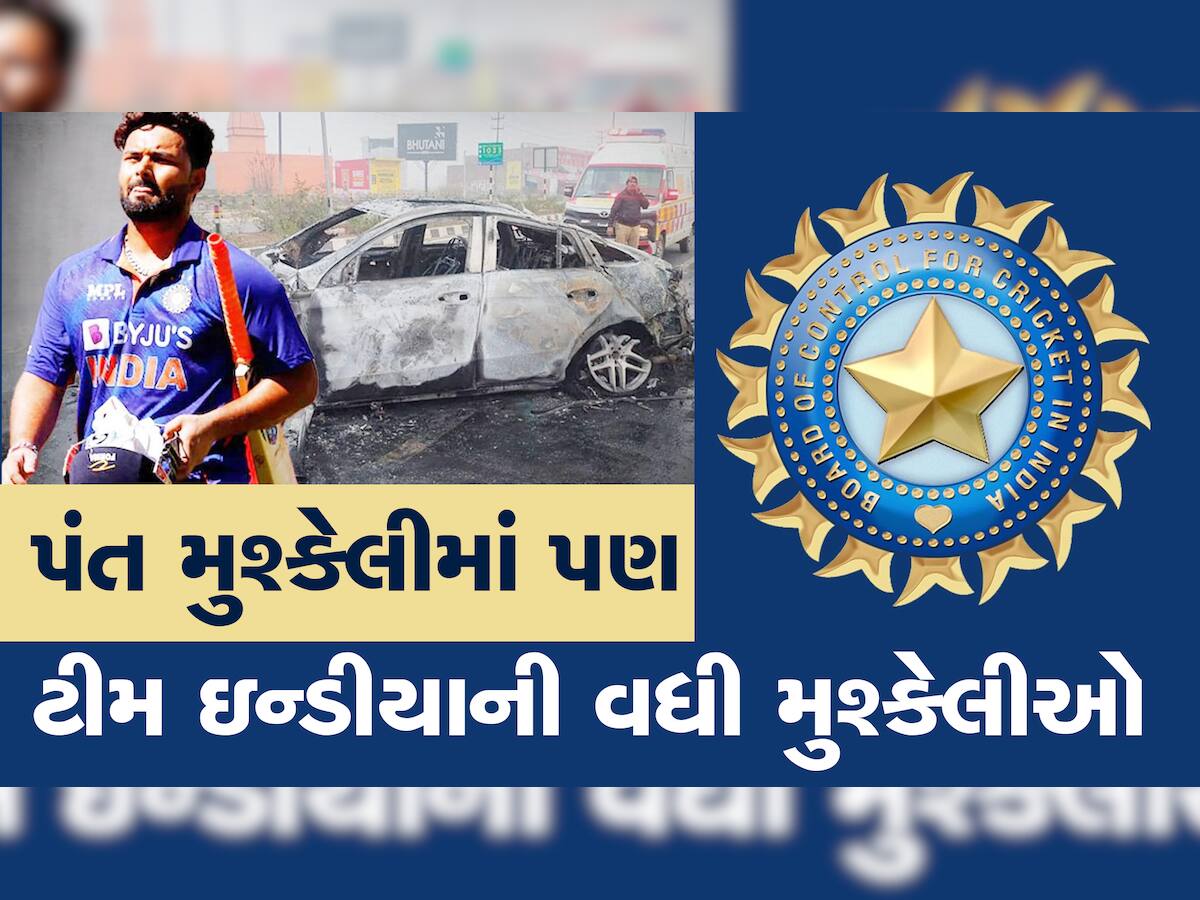 Rishabh Pant Road Accident: ધોનીનો ઉત્તરાધિકારી અને ભવિષ્યનો લીડર, ટીમ ઈન્ડિયામાં આ રોલમાં ફિટ બેસે છે ઋષભ પંત