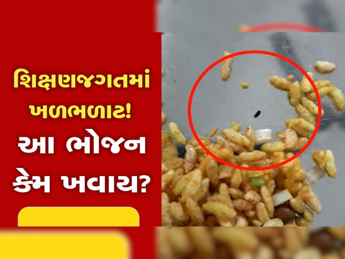 રાજકોટમાં વિદ્યાર્થિનીઓને જીવાતવાળું ભોજન પીરસાયું, ગ્લોબલ આયુર્વેદિક કોલેજનો ભાંડો ફૂટ્યો!