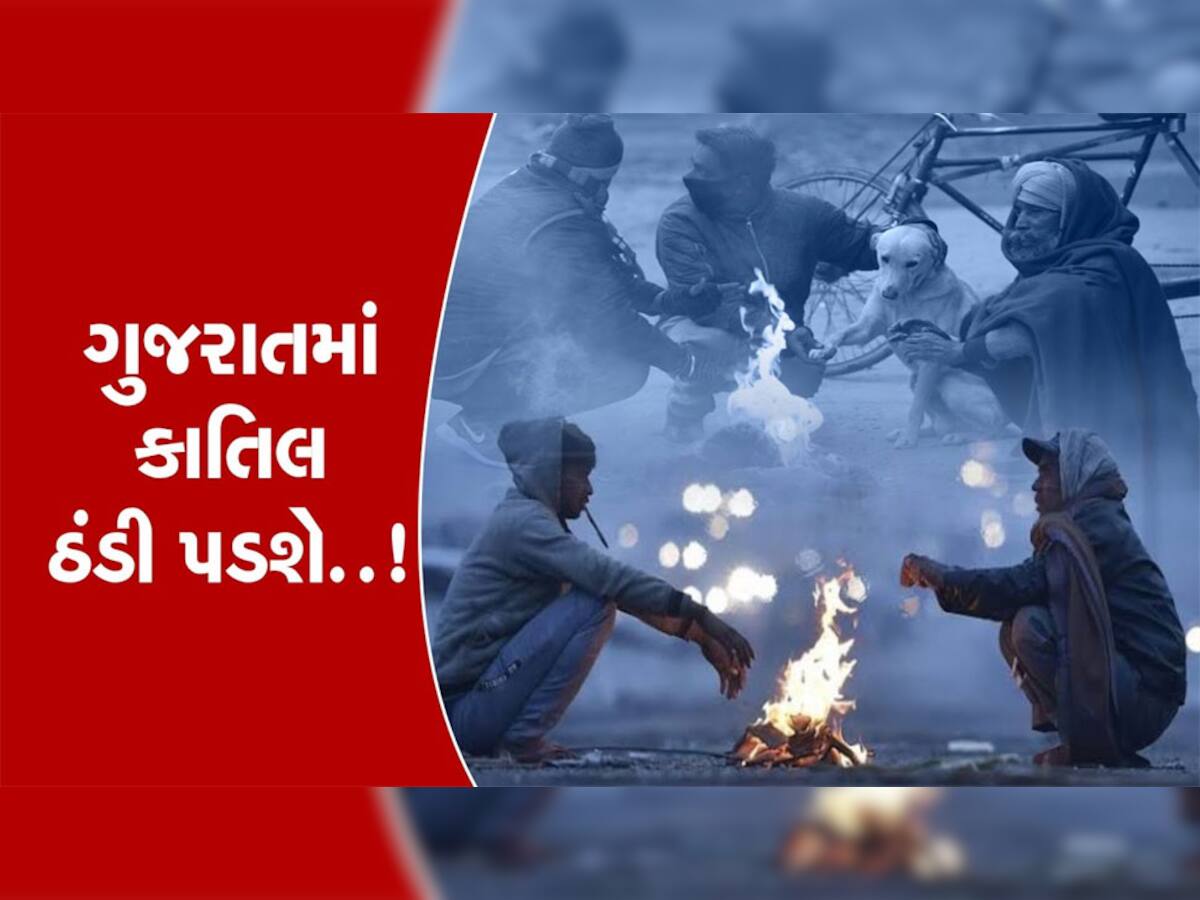 Gujarat Weather : હવેના બે દિવસ સાચવજો, ગુજરાતમાં લાગશે કાશ્મીર જેવી ઠંડી