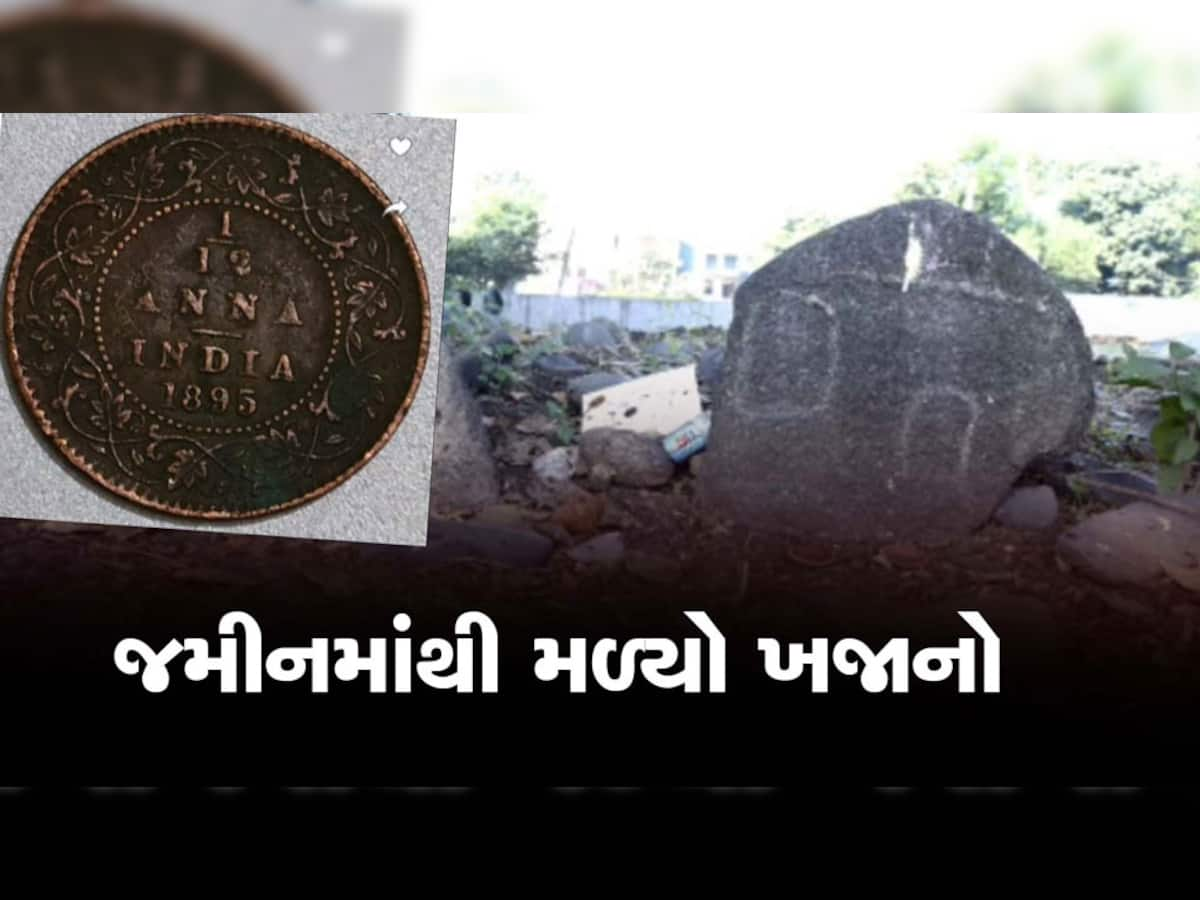 નવસારીના ધના રૂપા થાનકમાં ખોદકામ દરમિયાન મળ્યો 18 મી સદીનો ખજાનો, જૂના પીપળા નીચે દટાયેલો હતો 