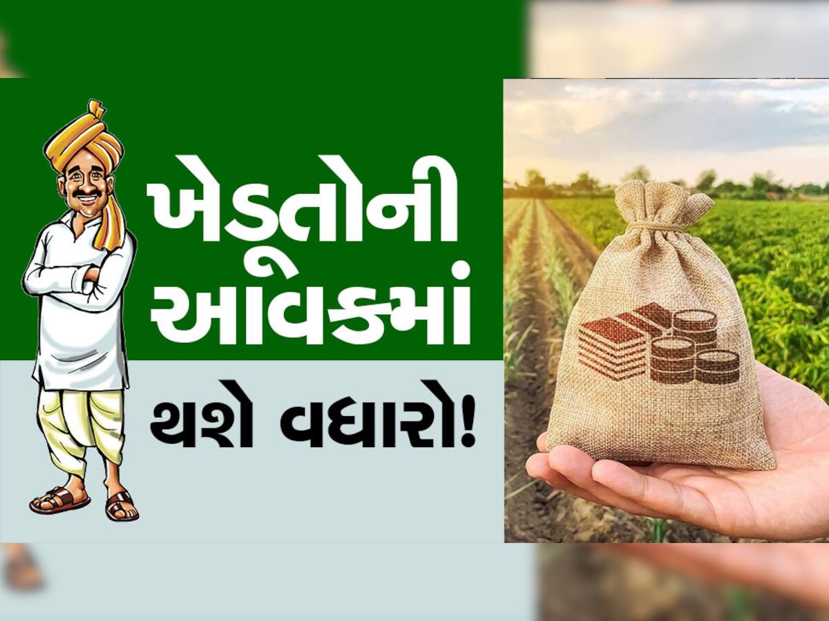 ખેડૂતો માટે મોટા ખુશખબર, આવકમાં થશે બંપર વધારો!, કેન્દ્ર સરકારની એકથી એક ચડિયાતી યોજના