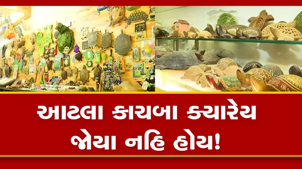 ahmedabad man lalit mehta made turtle museum after his hobby of