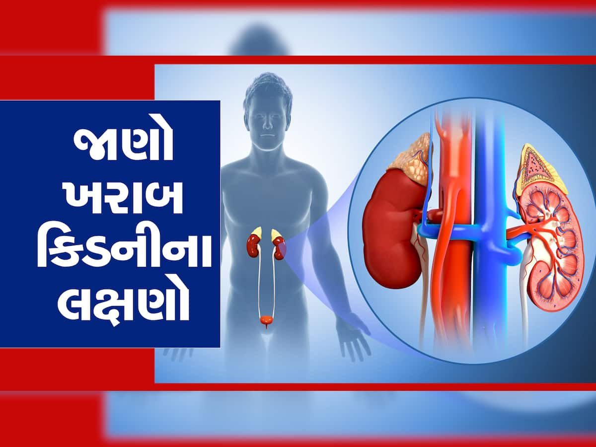 kidney failure: શરીરમાં દેખાતા આ લક્ષણ છે ખરાબ Kidney ના સંકેત, આ રીતે ઓળખો 