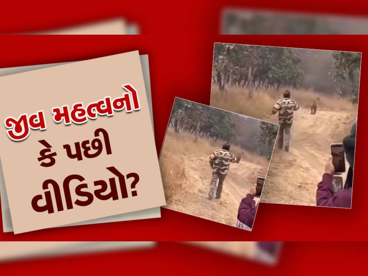 Viral Video: વીડિયો બનાવવા વાઘરૂપી ખતરા સાથે ખેલ્યા આ ભાઈ...પછી જુઓ શું થયું..