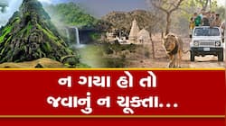 ગુજરાતના Top 5 સુંદરત્તમ ફરવાલાયક સ્થળો, તમે પ્રકૃતિને પેટ ભરીને માણી શકશો
