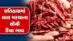 ઇતિહાસમાં પ્રથમવાર મરચાની તીખાશ વધી! ખેડૂતોને મળ્યો એટલો ભાવ કે વિશ્વાસમાં નહીં આવે!