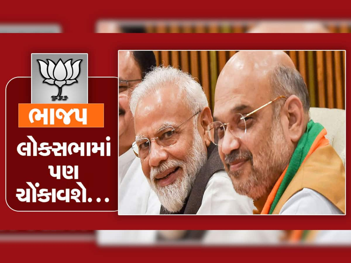 Lok Sabha Election: ગુજરાતમાંથી 26માંથી 7થી 8 સાંસદો કપાશે, વર્તમાન ધારાસભ્યો અને જૂના જોગીઓને પણ લાગી શકે છે લોટરી