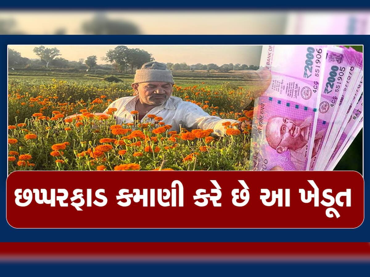 Inspirational Story: એક નિર્ણયે જિંદગી બદલી, આ ખેડૂત દર મહિને કરે છે અધધધ...કમાણી, જાણીને આંખો પહોળી થઈ જશે