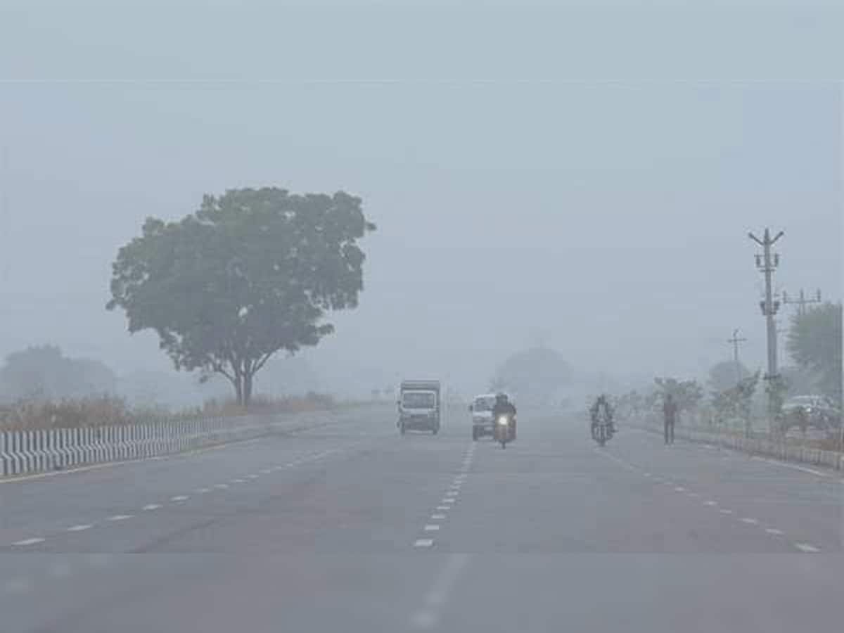 Cold Wave: ગુજરાતના આ શહેરોમાં તો 'આબુ' જેવું બની ગયું છે ઘરનું ધાબુ! જાણો ઉત્તરાયણમાં શું થશે