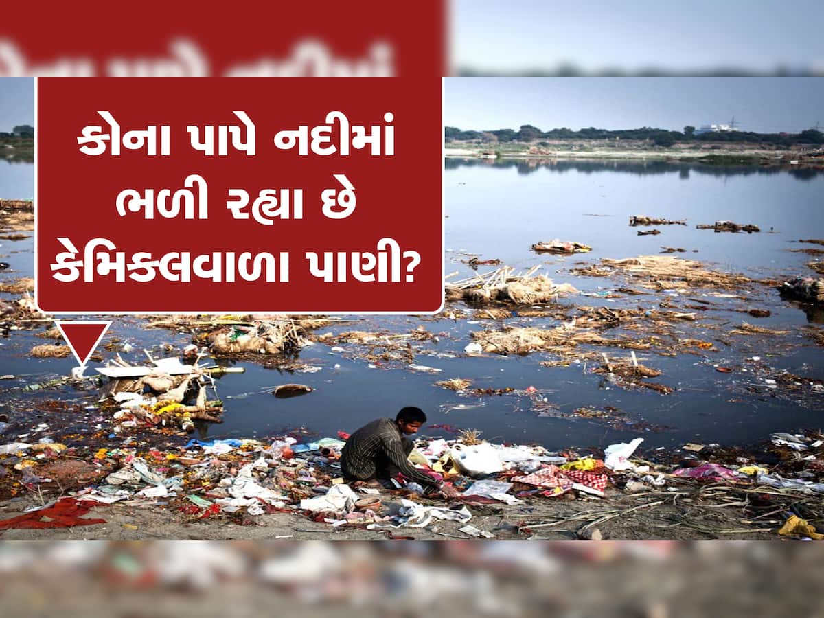ગુજરાતની જીવાદોરી સમાન અનેક નદીઓ પ્રદૂષિત, જાણો કઈ-કઈ નદી છે દુષિત લિસ્ટની યાદીમાં...