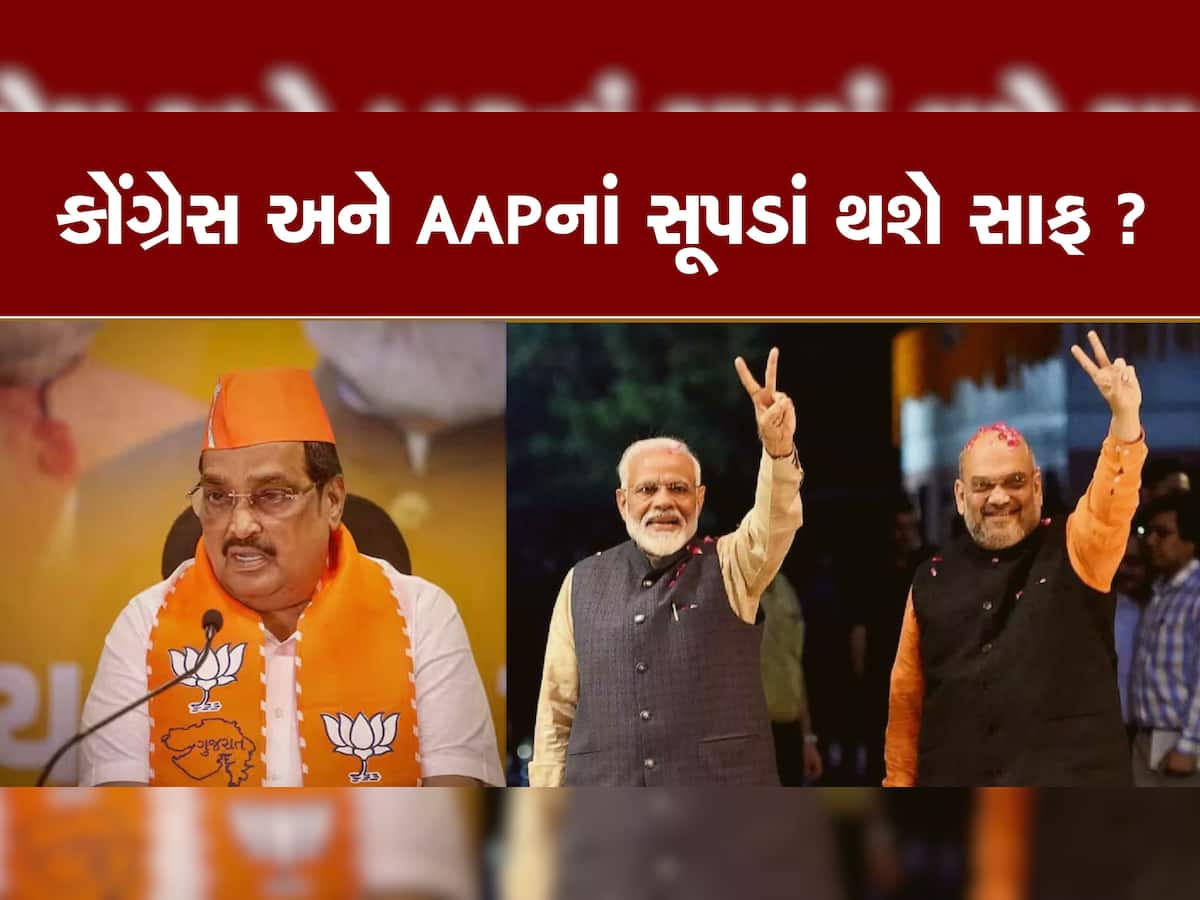 Lok Sabha Election 2024: ગુજરાતના BJP પ્રદેશ અધ્યક્ષ પાટીલ કોંગ્રેસ અને AAPની ઉંઘ હરામ કરશે, લોકસભામાં આટલી સીટો જીતવાનો કર્યો દાવો