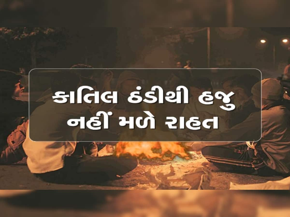 ગુજરાતના આ શહેરમાં ઠંડીનો પારો સીધો 1.4 ડિગ્રી પહોંચ્યો, કયા કયા શહેરમાં છે કોલ્ડવેવની આગાહી છે જુઓ