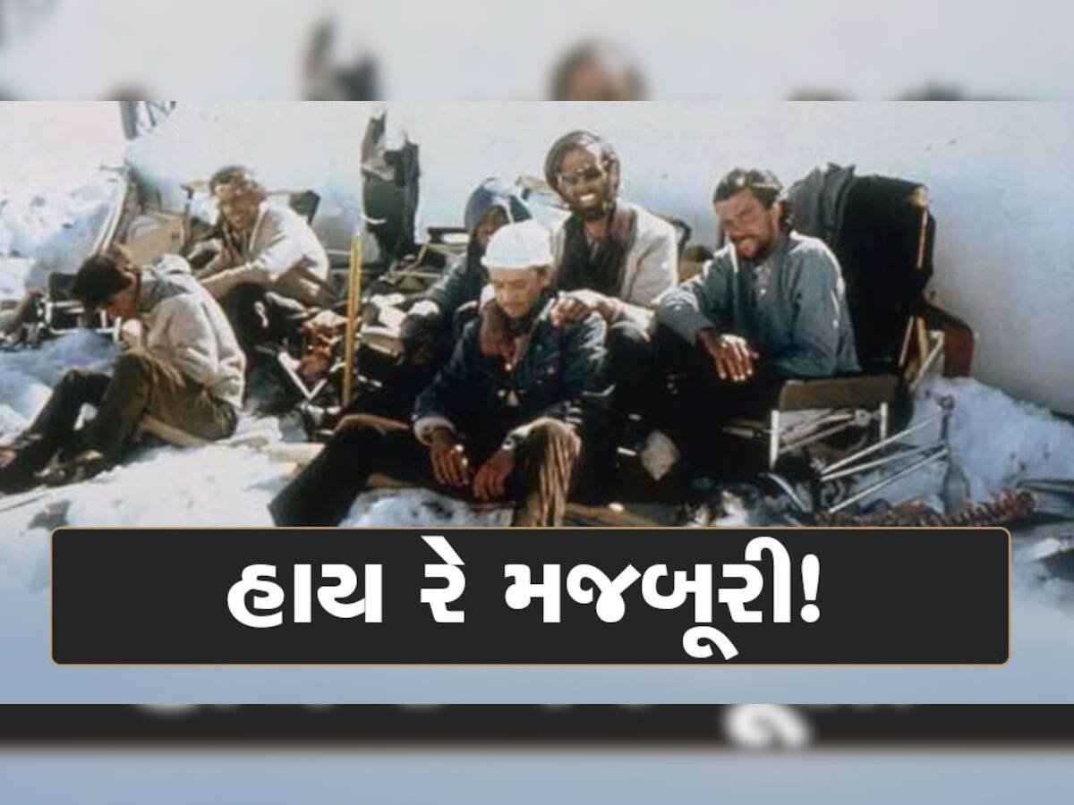 Plane Crash પ્લેન દુર્ઘટનાની ખતરનાક કહાણી: જેમાં જીવતા રહેવા મૃતદેહ ખાવા મજબૂર થયા હતા લોકો