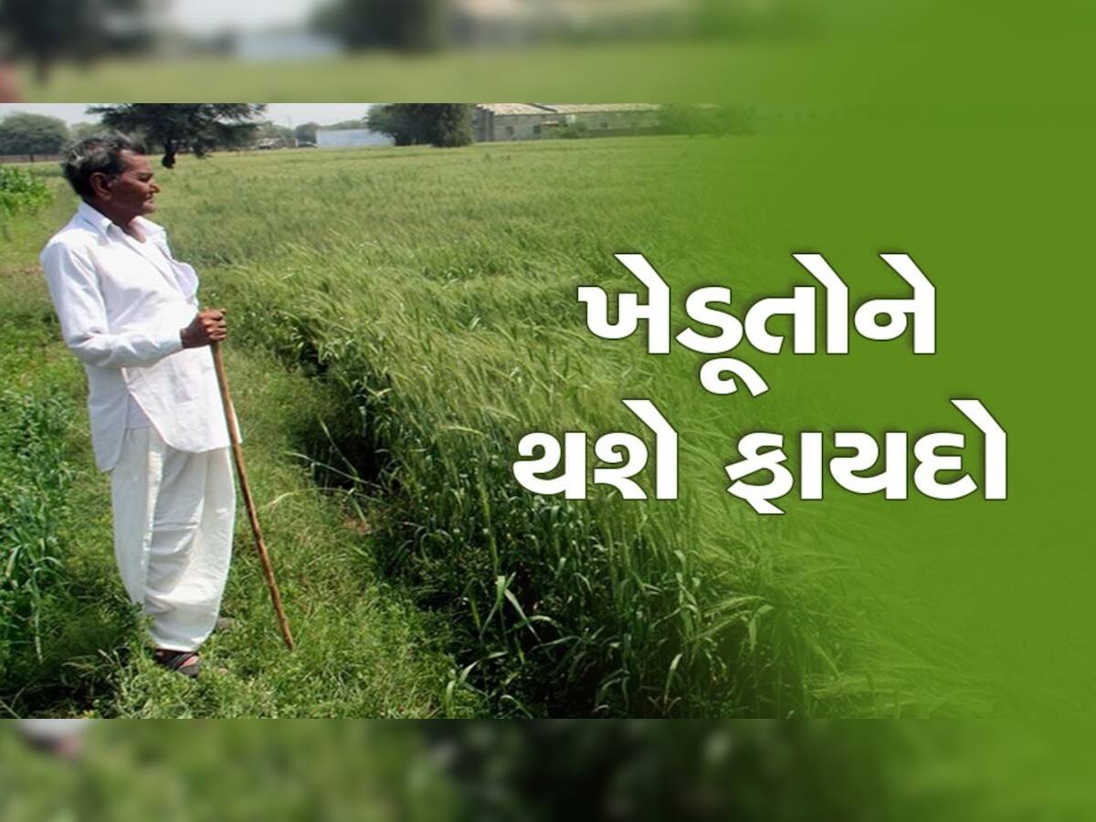 ખેડૂતો માટે સરકાર લાવી શાનદાર યોજના, હવે પાકને થશે નુકસાન તો ખેડૂતોને મળશે આર્થિક સહાય