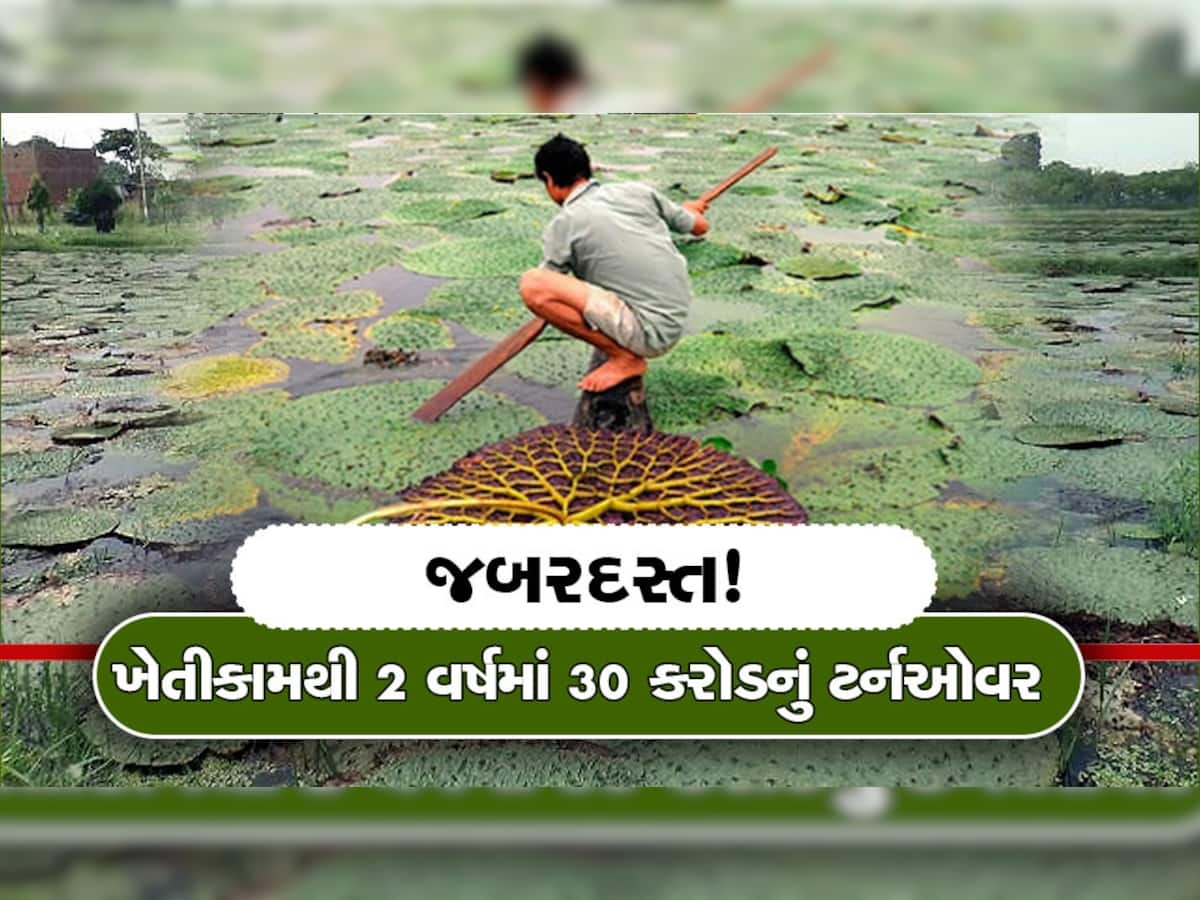 આ બિઝનેસથી દંપતી બે વર્ષમાં બન્યું 30 કરોડનું માલિક, જાણો કેવી રીતે 600 લોકોને રોજગારી આપી મેળવી બમ્પર આવક?