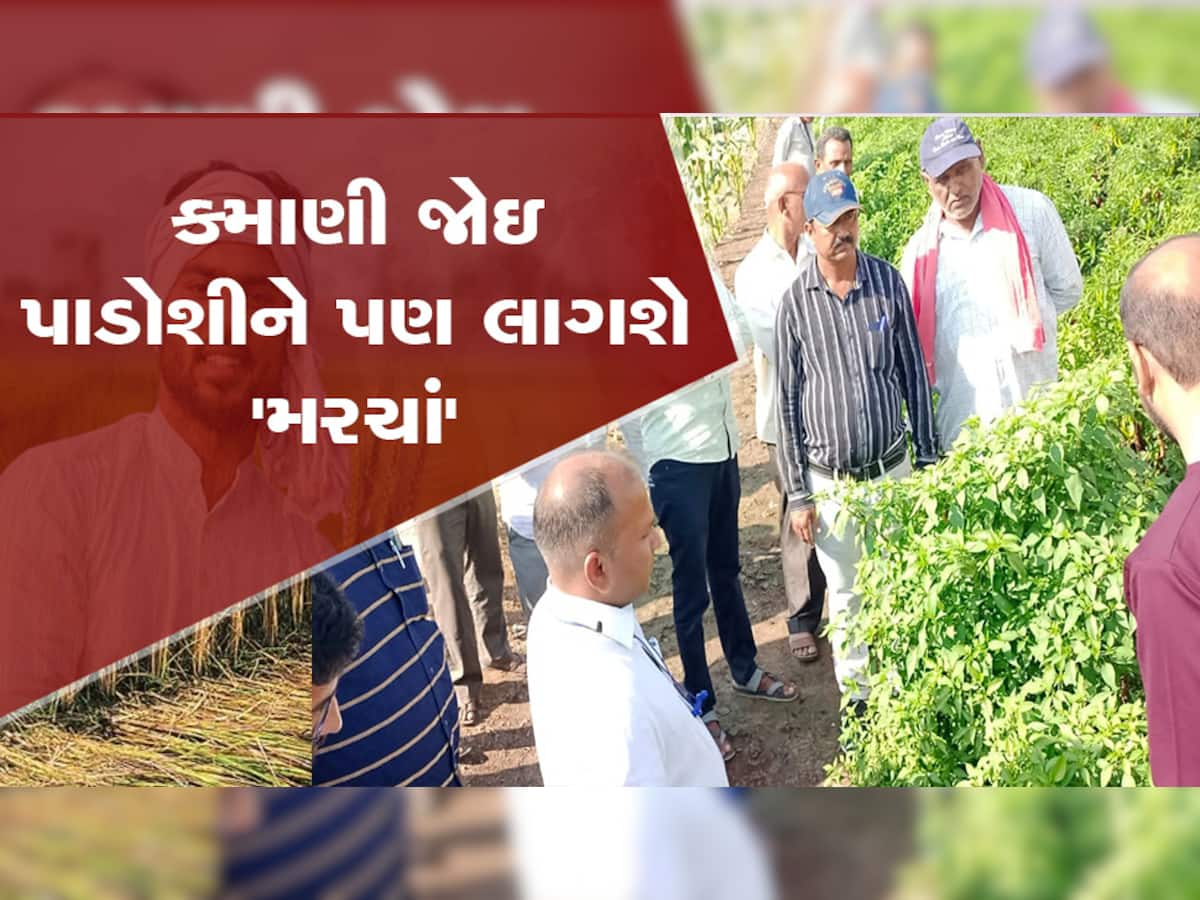 અનોખી રીતે મરચાંની ખેતી કરીને ગુજરાતના ખેડૂતે કમાલ કરી દીધી! તમે પણ આ રીતે બની શકો છો માલામાલ!