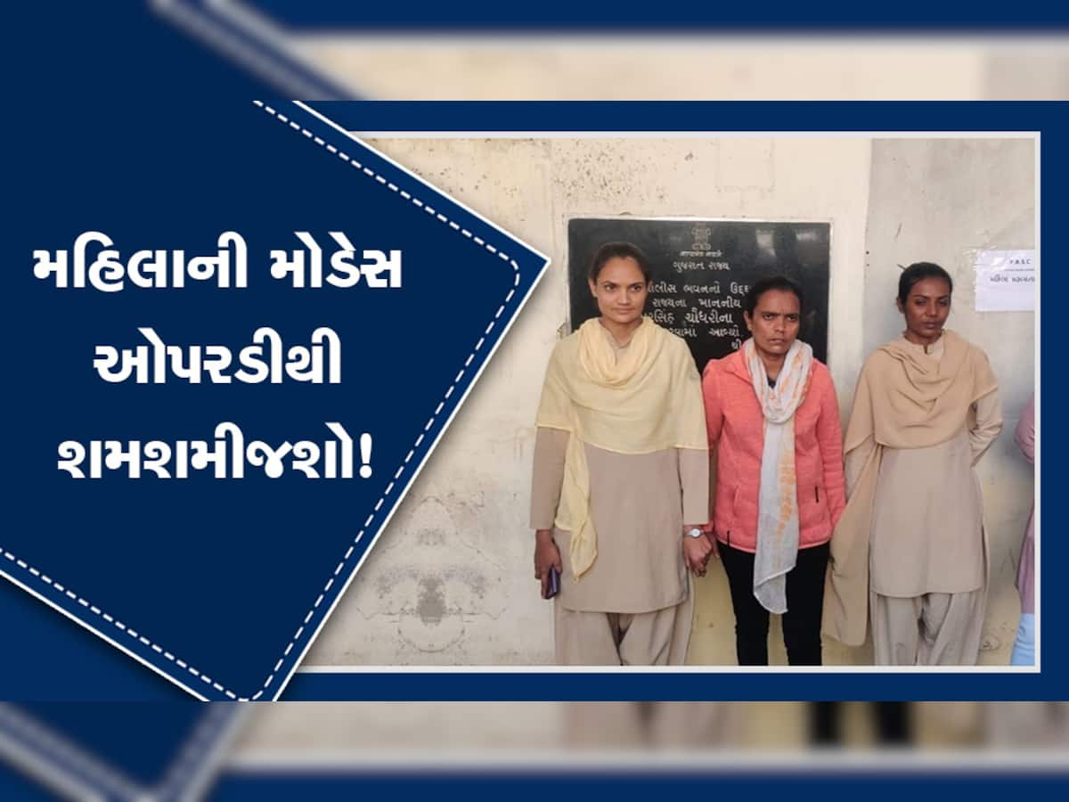 વિધવા મહિલાઓ સાવધાન! સરકારી સહાય અપવાવાના નામે થઈ રહી છે મોટી છેતરપિંડી