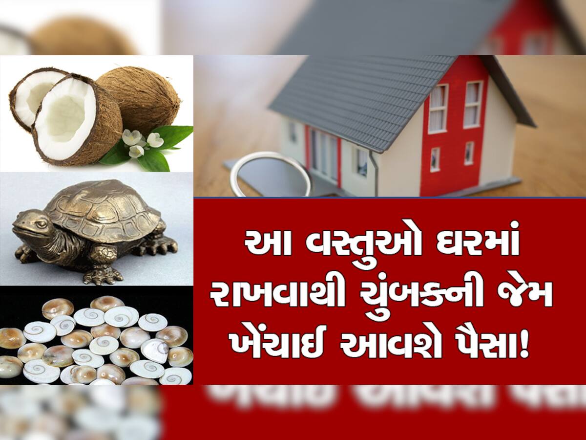 Vastu Tips: ઘરમાં આ 5 વસ્તુઓ રાખવાથી ચુંબકની જેમ ખેંચાઈને આવશે પૈસા, એકવાર કરી જુઓ ટ્રાય