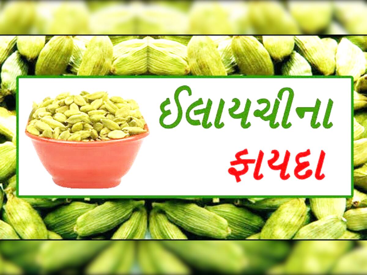 ઘણી સમસ્યાનો અસરકારક ઇલાજ છે ઈલાયચી! ફાયદા જાણીને તમે પણ કહેશો કે આ તો ગજબ છે