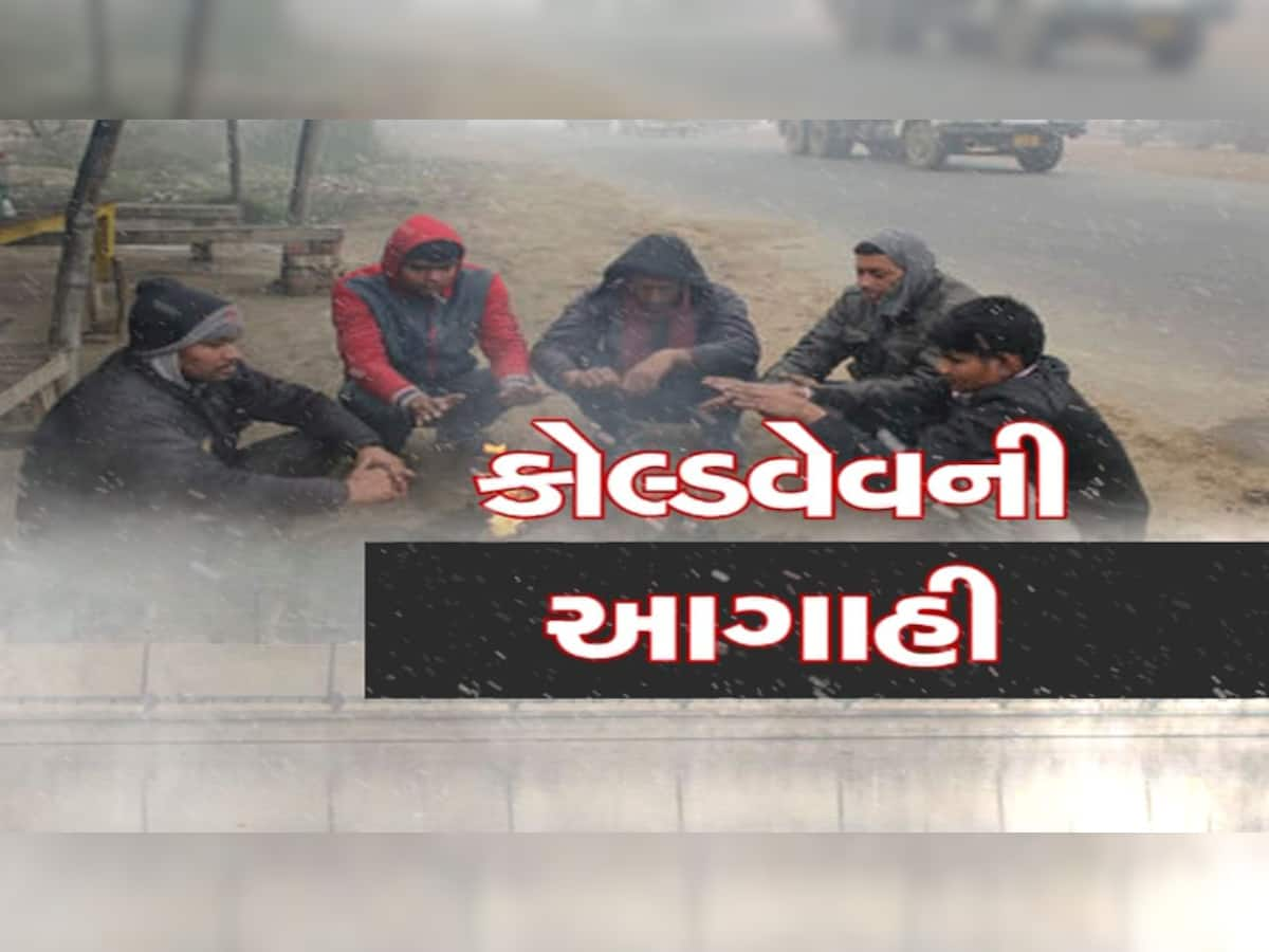 કોલ્ડવેવમાં સૌથી પહેલા કરો આ કામ, આ જરૂરી ટિપ્સ તમને કાતિલ ઠંડીથી બચાવશે