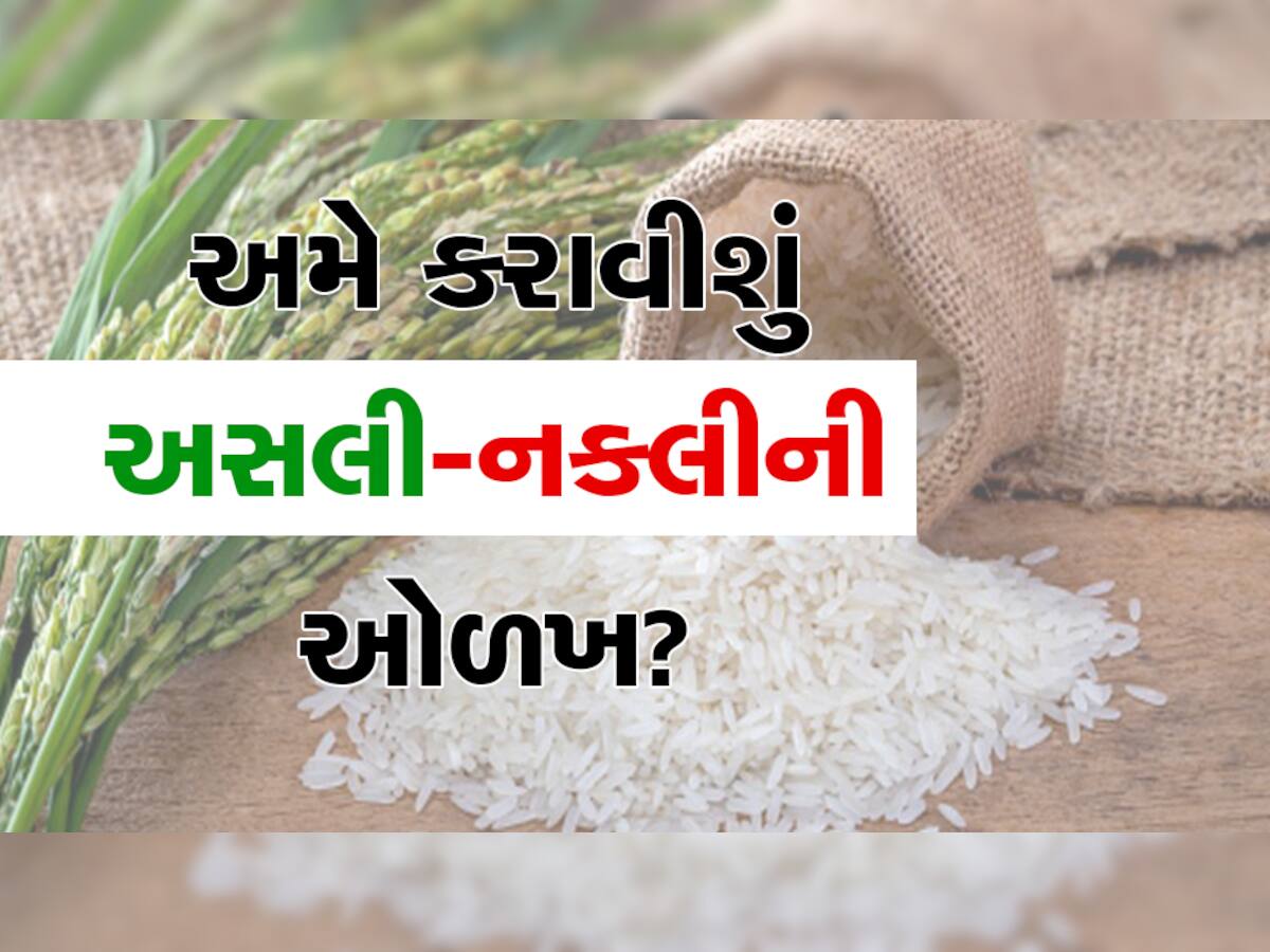 બાસમતી ચોખા ખાશે ચાડી : આ રીતે કરો ઓળખ, સરકારે નક્કી કર્યા ધારા ધોરણો