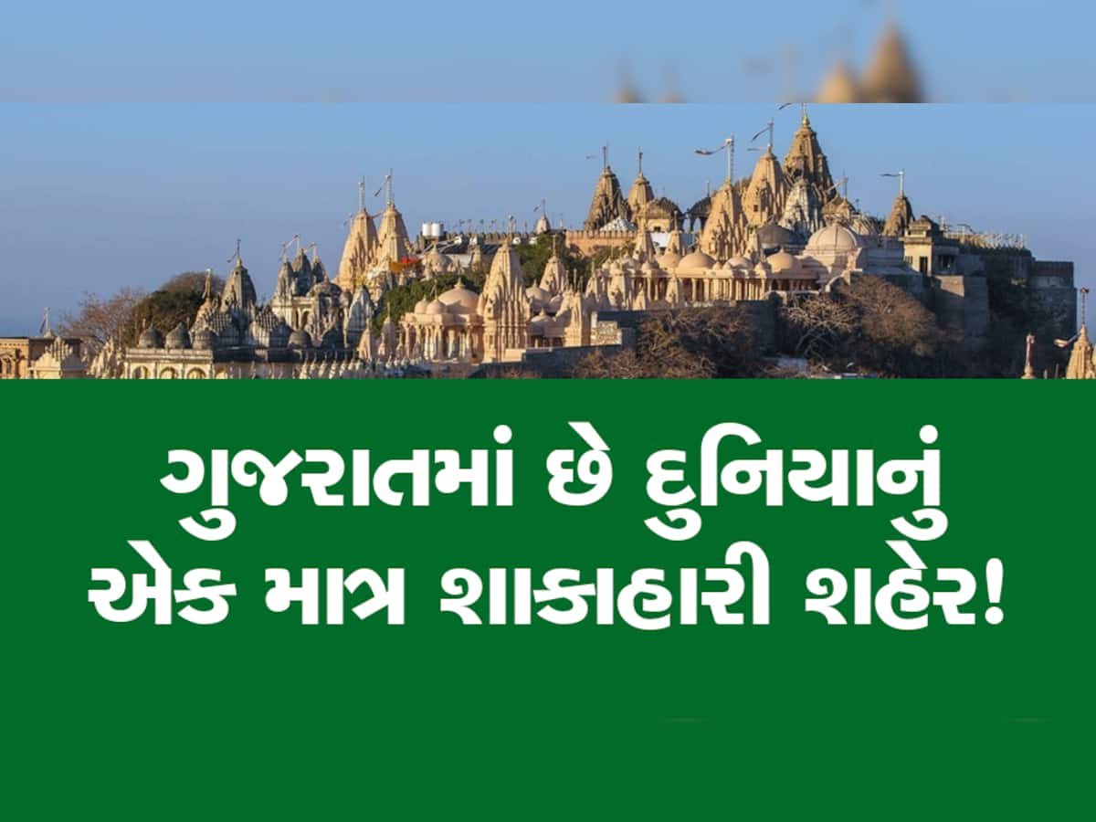 200 સંતોની ભૂખ હડતાળ અને ગુજરાતમાં આવેલાં દુનિયાના એક માત્ર શાકાહારી શહેરની કહાની