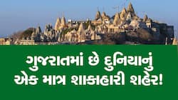 200 સંતોની ભૂખ હડતાળ અને ગુજરાતમાં આવેલાં દુનિયાના એક માત્ર શાકાહારી શહેરની કહાની